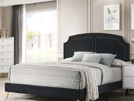 Zeena - Full Bed - Black Velvet Hot on Sale